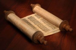 Torah Study with Rabbi
