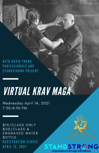 Young Professionals Krav Maga Virtual Class