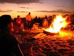 Young Professionals - Beach Bonfire