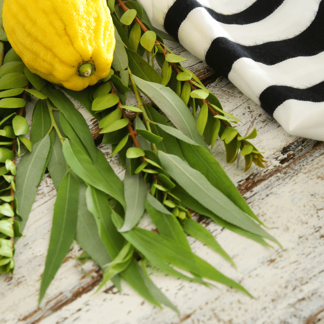 Erev Sukkot